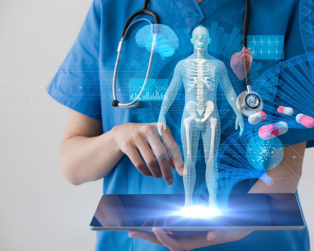 Доктор с макетом человека на планшете