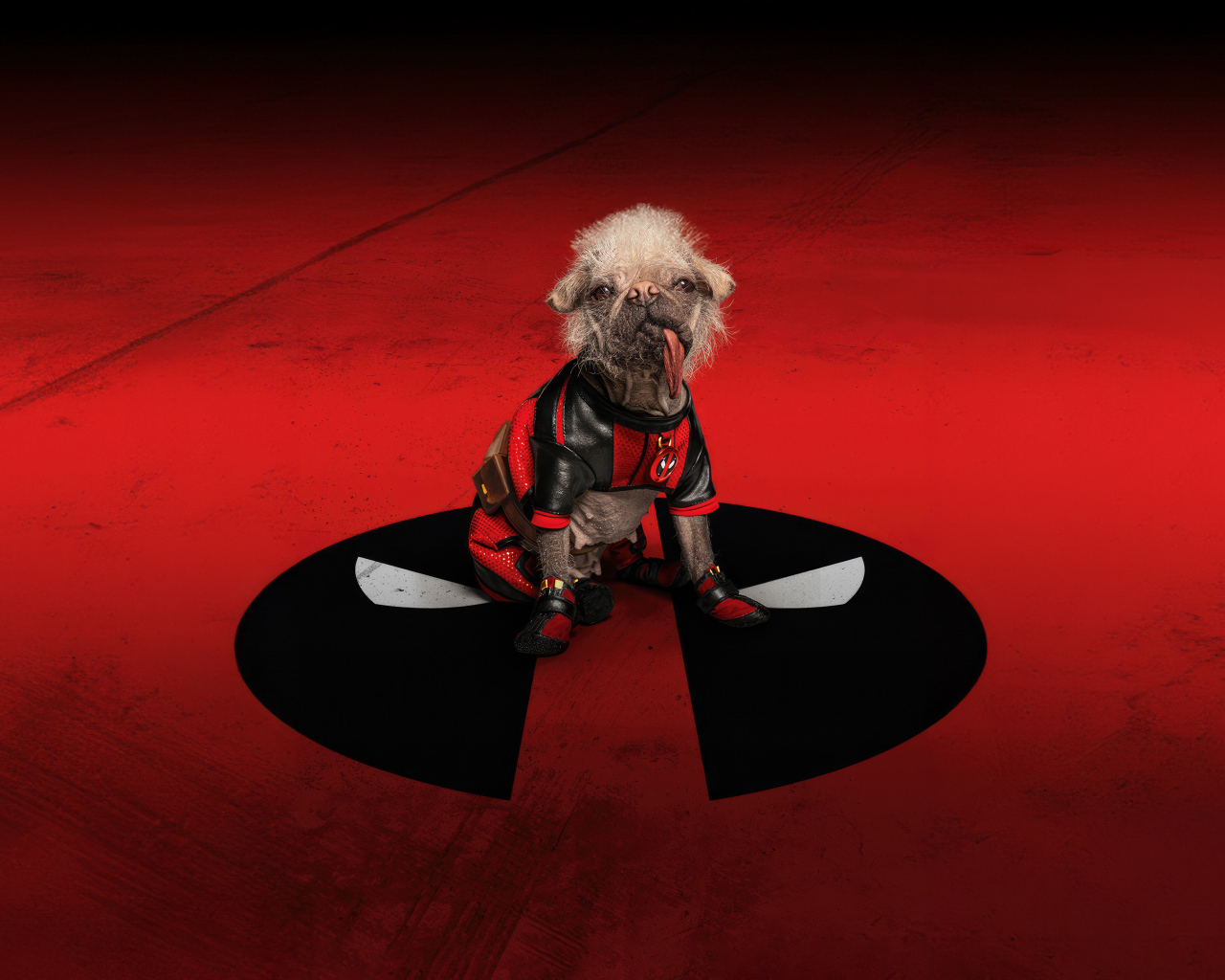 Собака на красном фоне фильм Дэдпул и Росомаха 2024