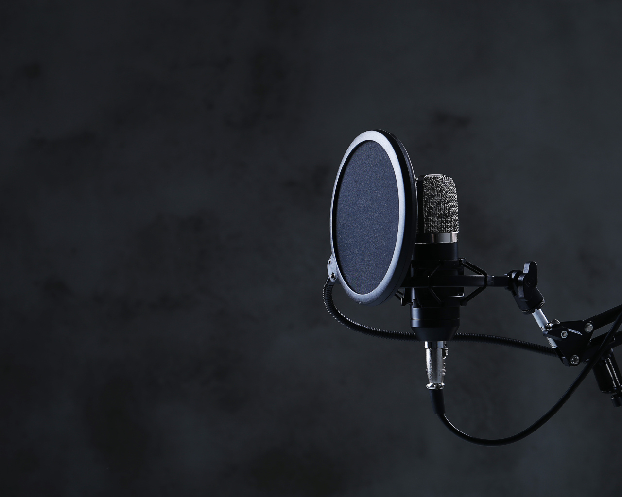 Черный микрофон с фильтром в студии