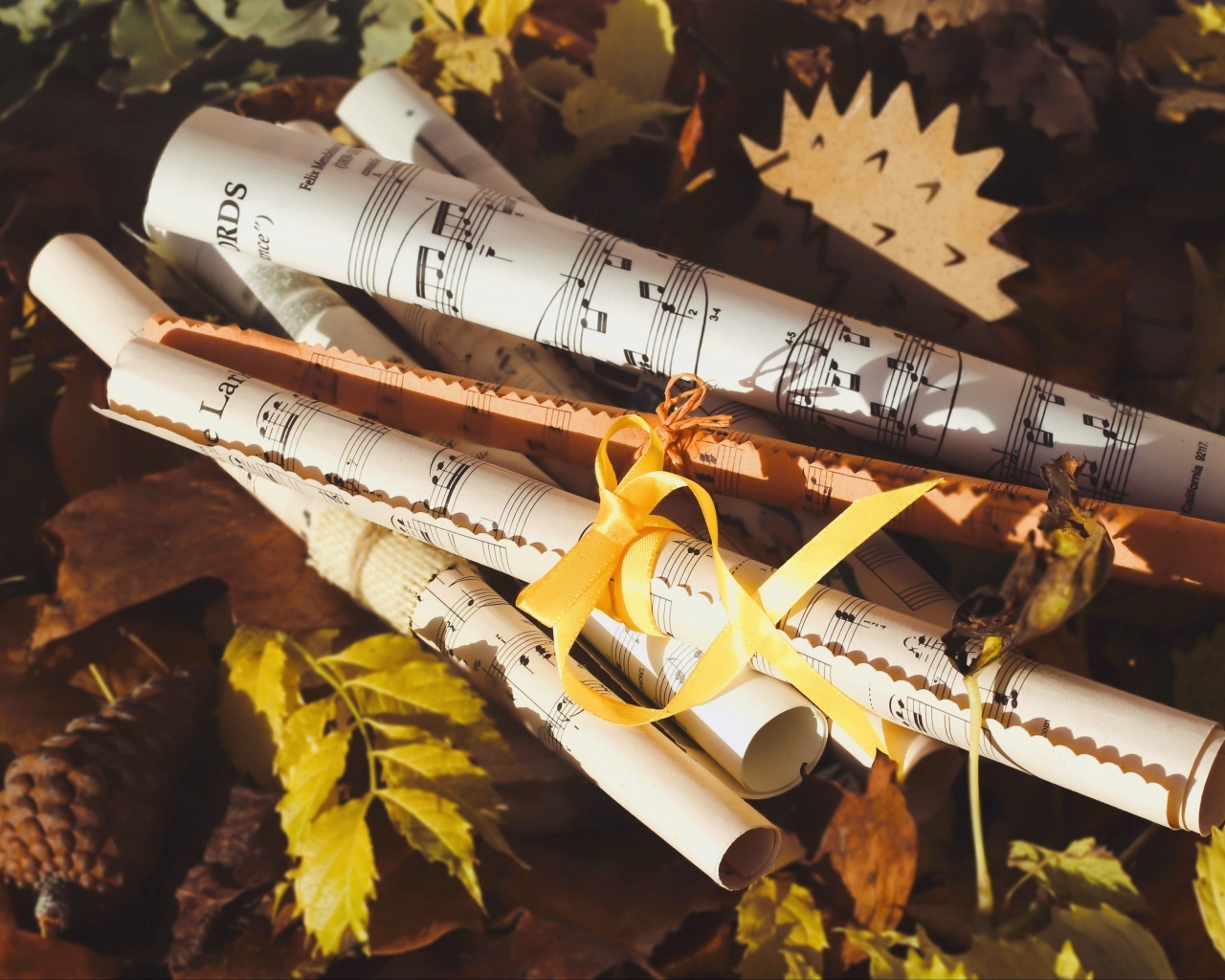 Ноты лежат на земле с опавшими листьями