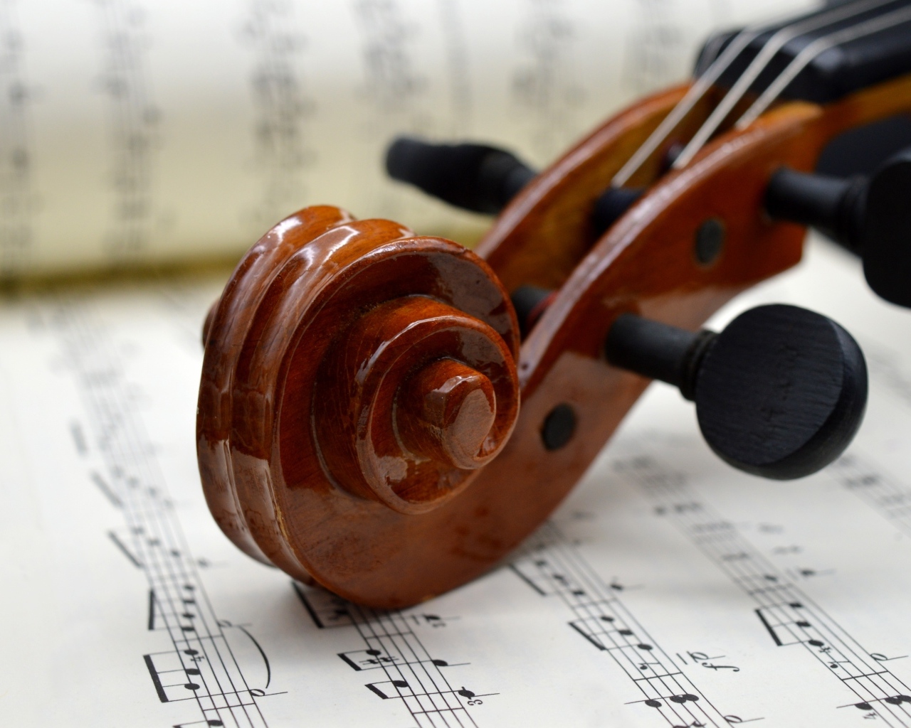 Скрипка с нотами крупным планом