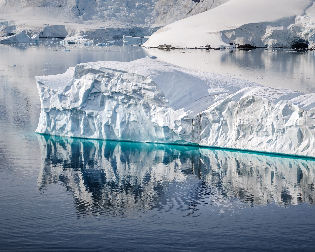 Большой голубой айсберг в воде океана