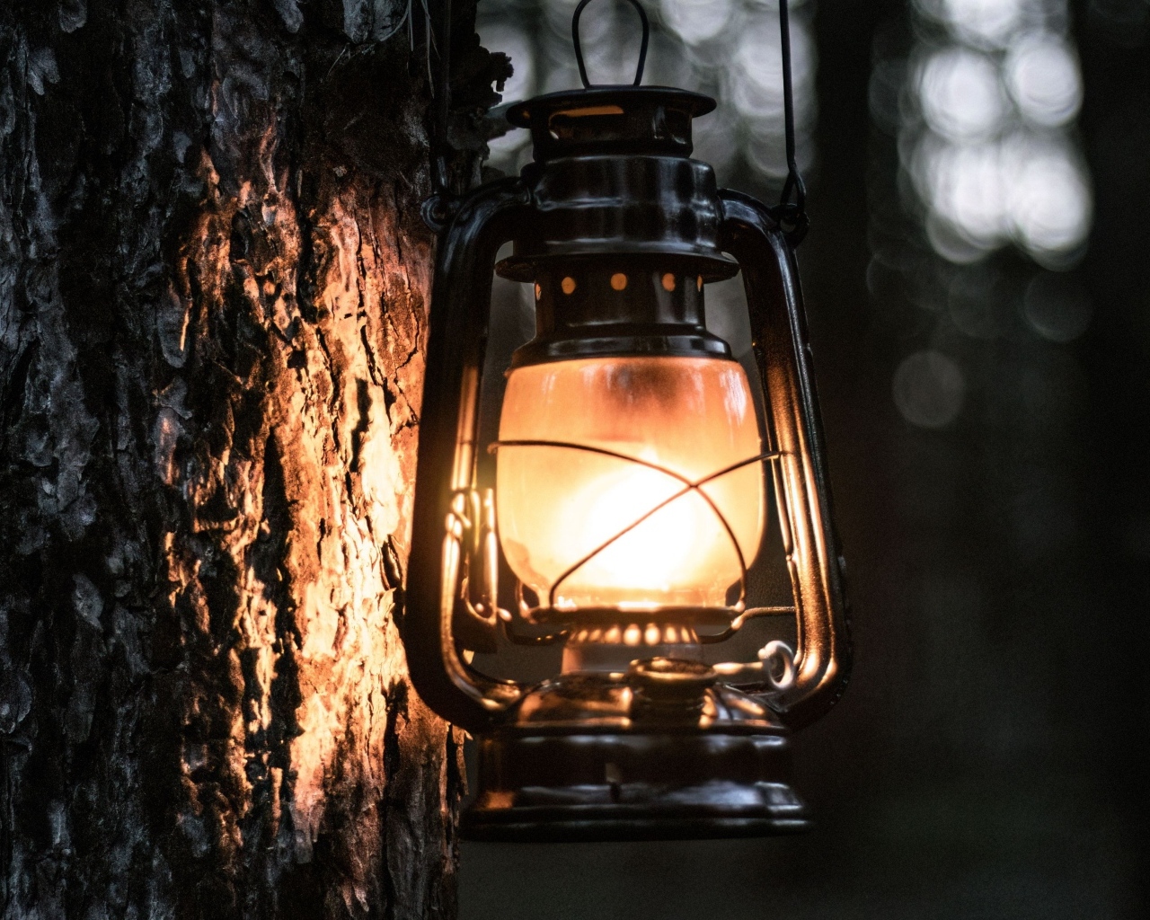 Светящийся фонарь висит на дереве