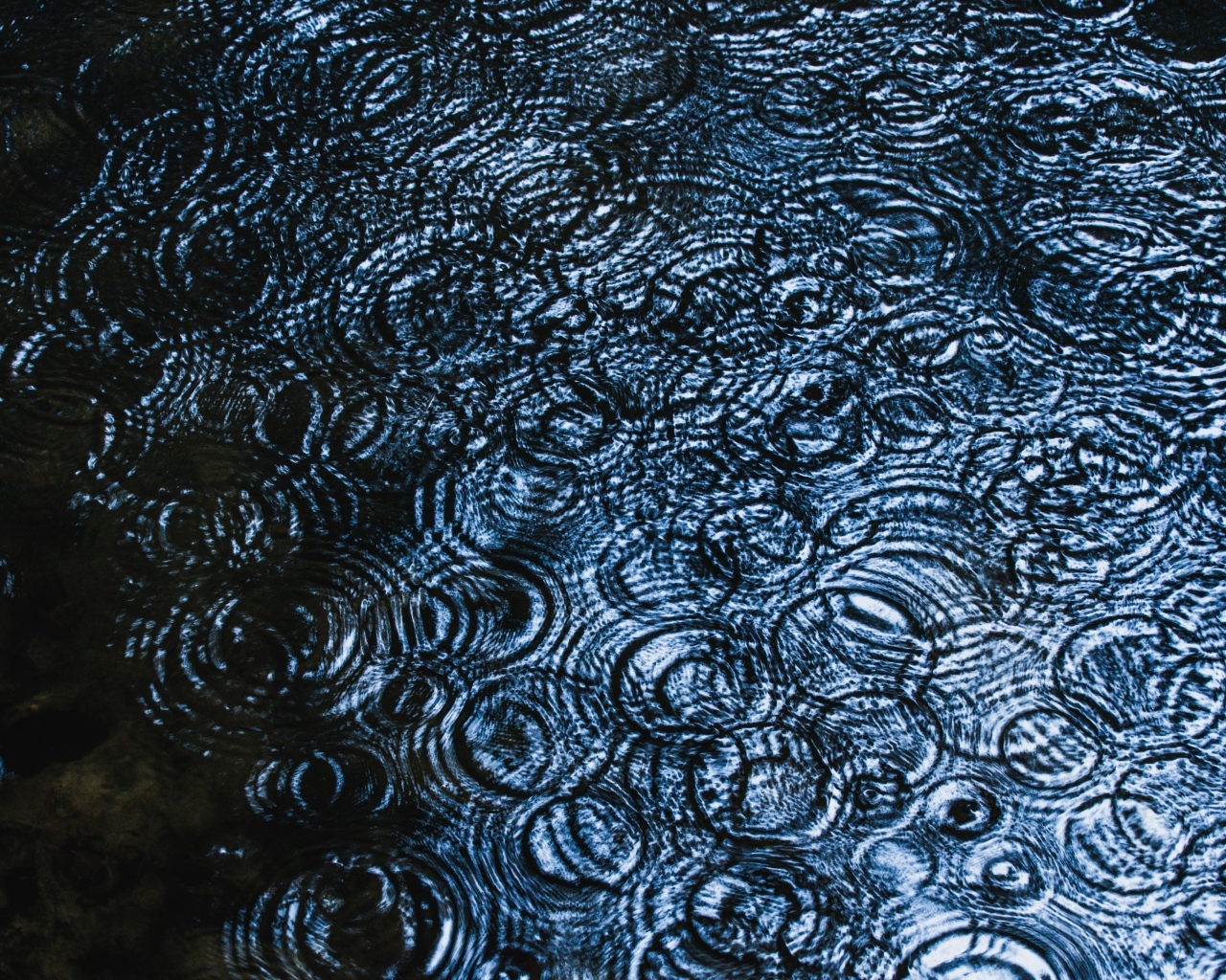 Круги от дождя на воде