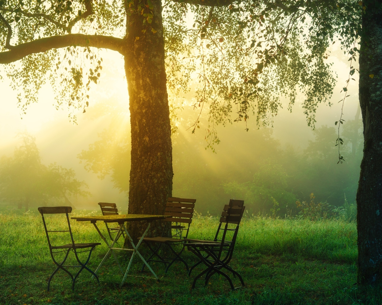 Стол и стулья у дерева в саду на рассвете 