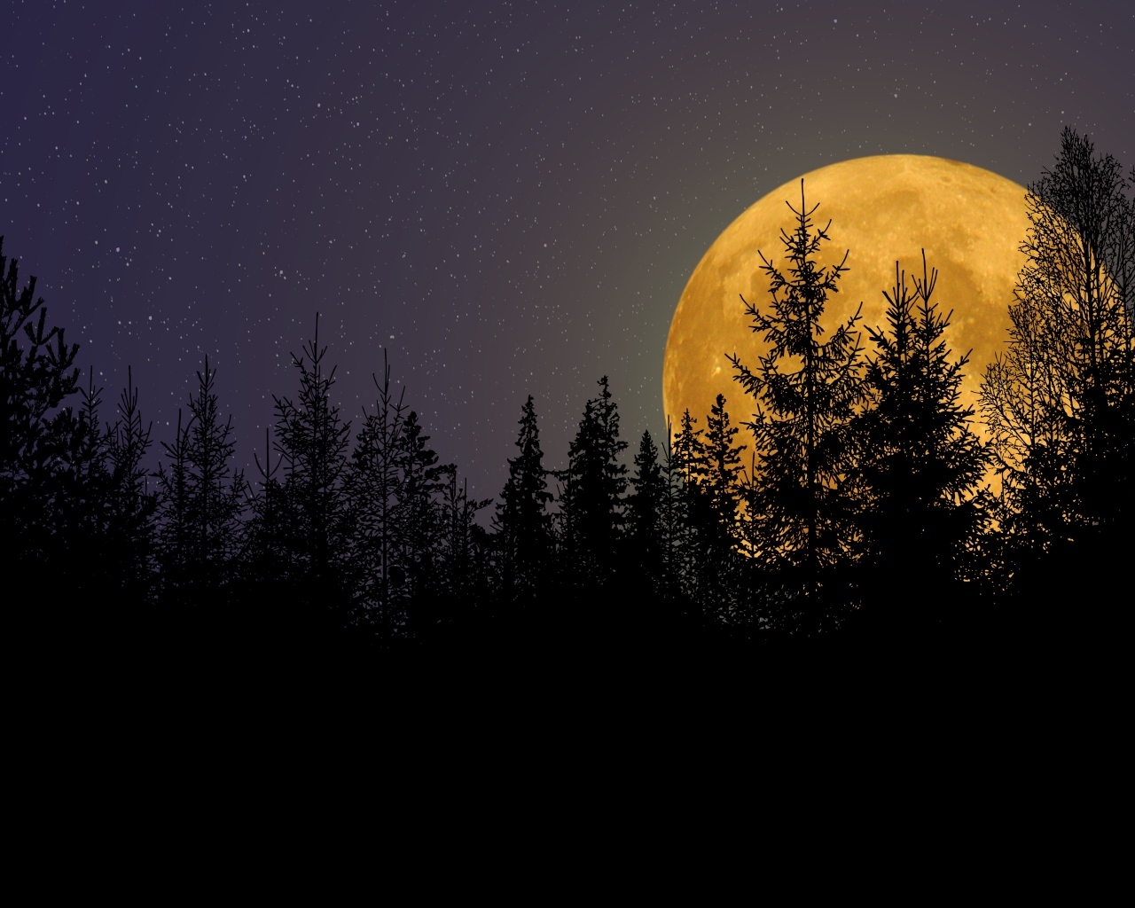 Большая желтая луна прячется за елями