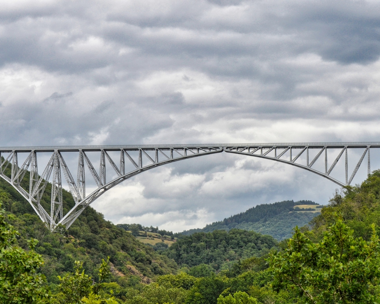 Вид на стальной виадук над покрытыми зеленью горами