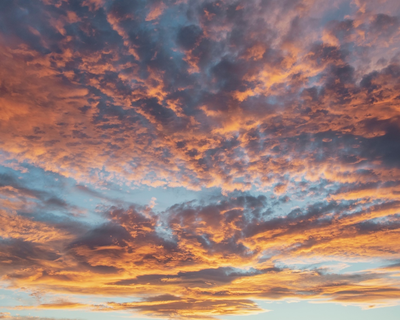 Густые темные облака в небе