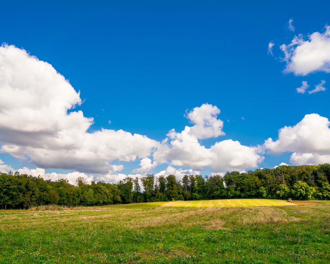 Белые густые облака над зеленым полем