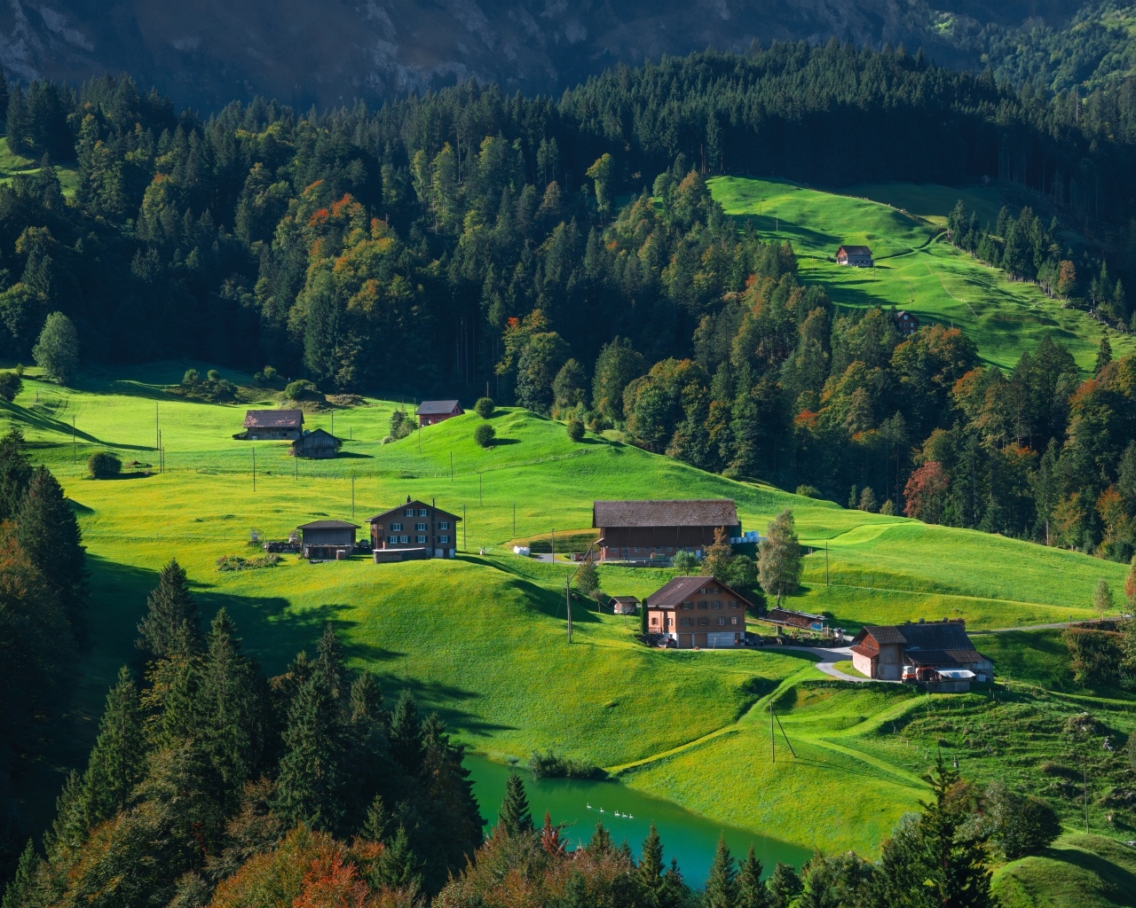 Зеленые холмы с домами в горах
