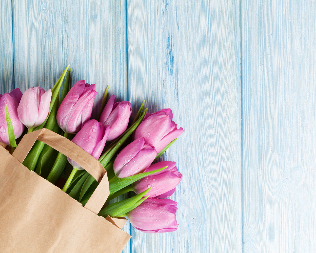 Пакет розовых тюльпанов на голубом столе