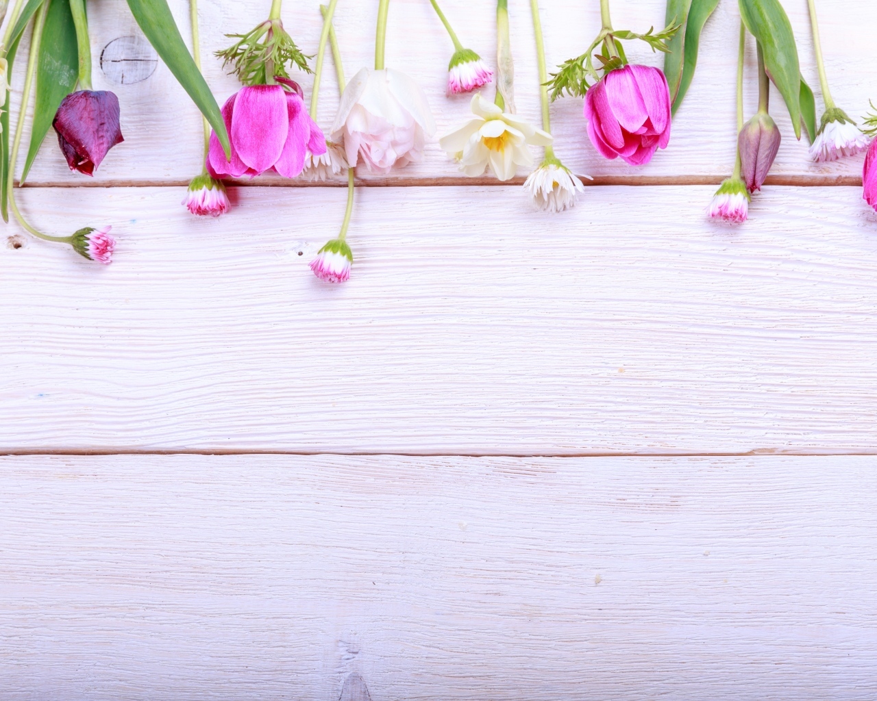 Красивые разноцветные весенние цветы на деревянном фоне