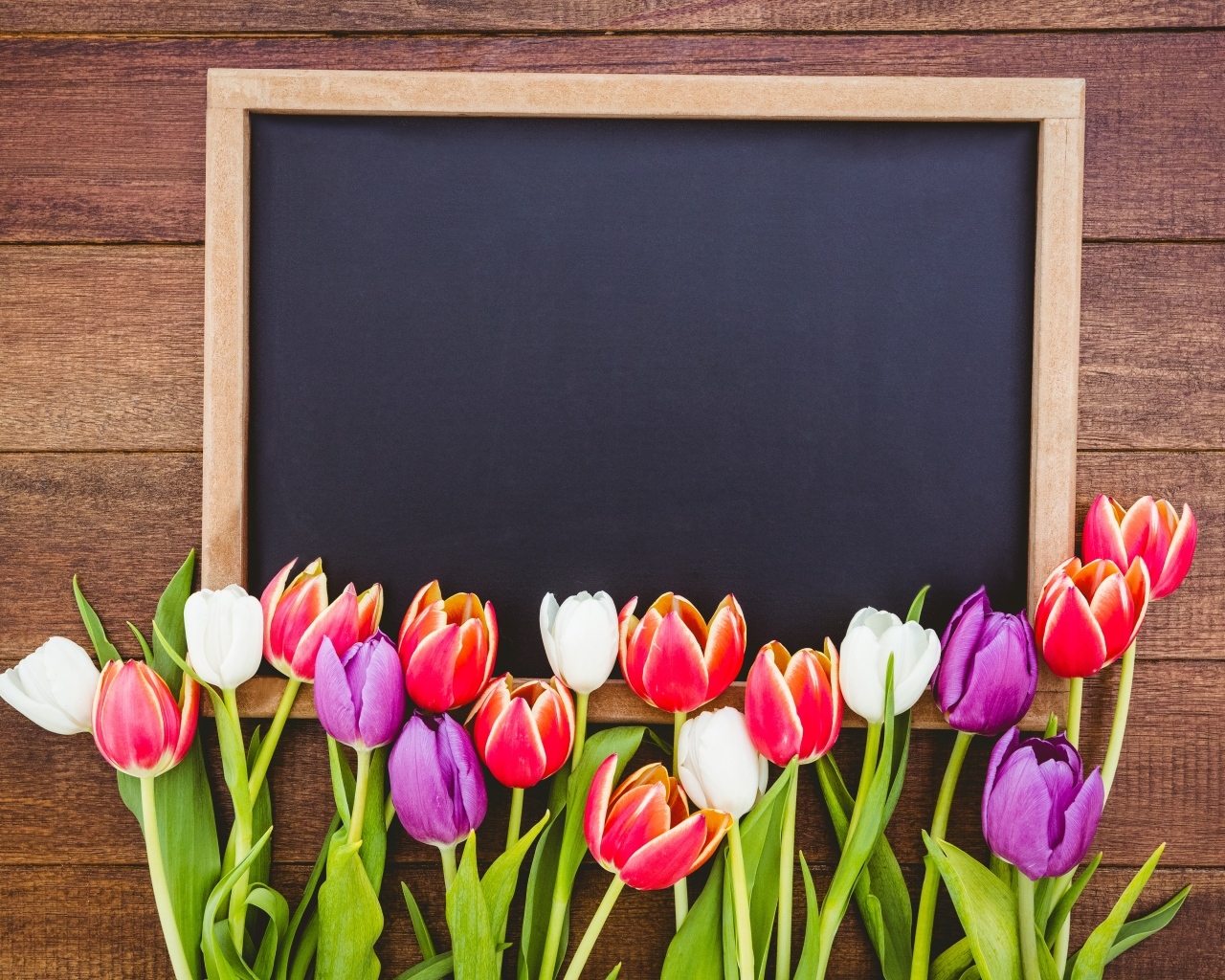 Красивые разноцветные тюльпаны с рамкой на деревянном столе