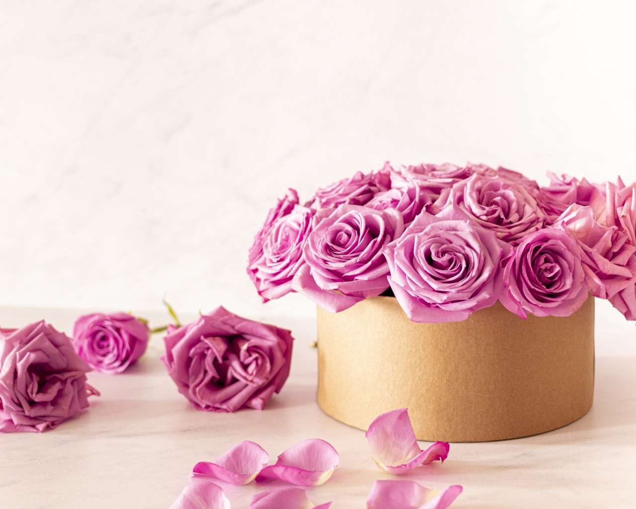 Красивые розовые розы в картонной коробке на белом фоне