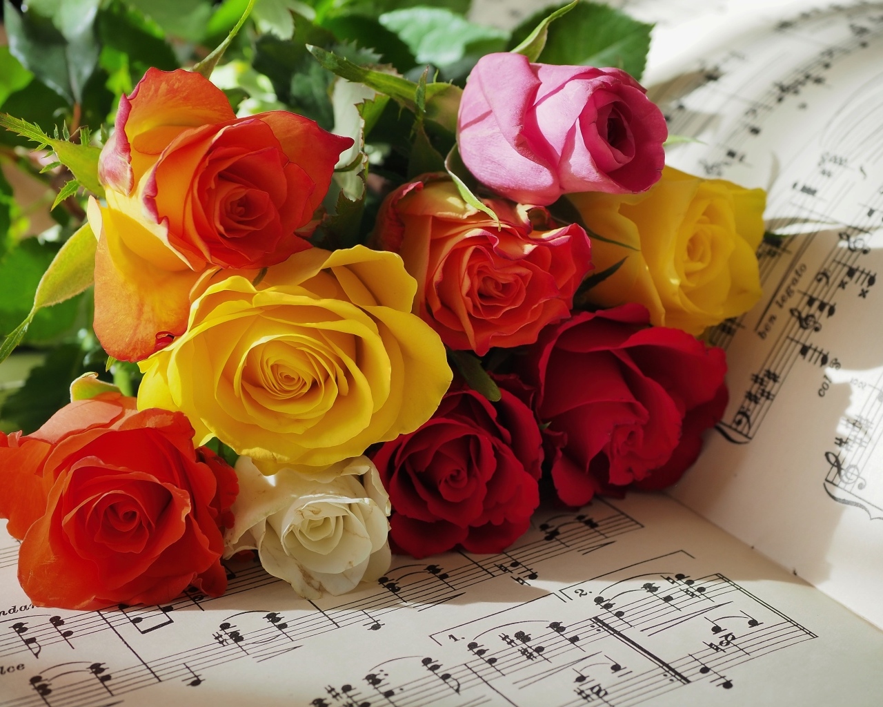 Букет разноцветных роз на нотной тетради
