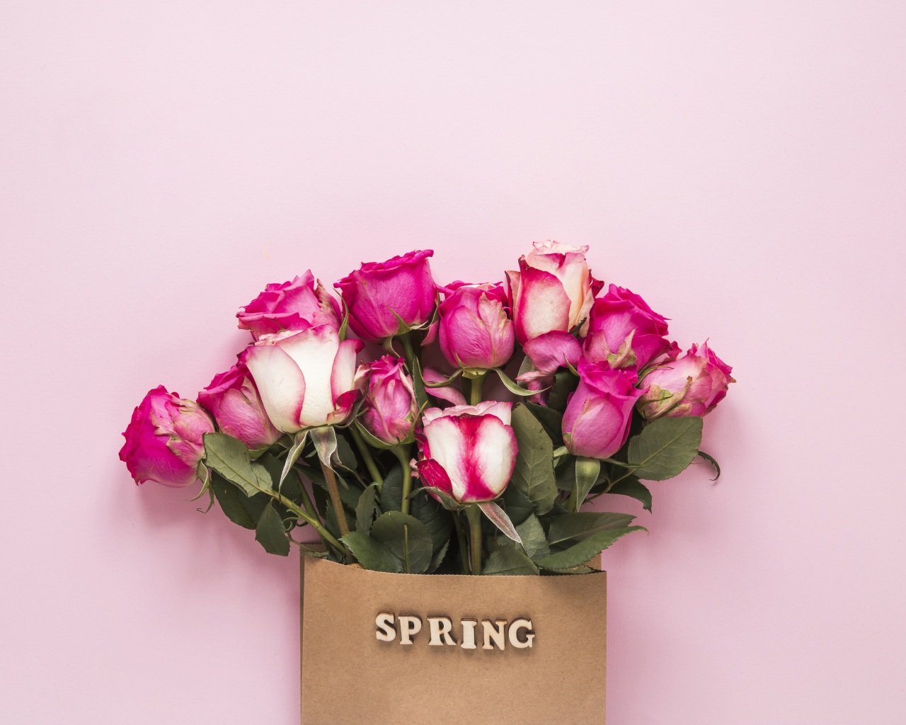 Букет роз в бумажном пакете на розовом фоне весной