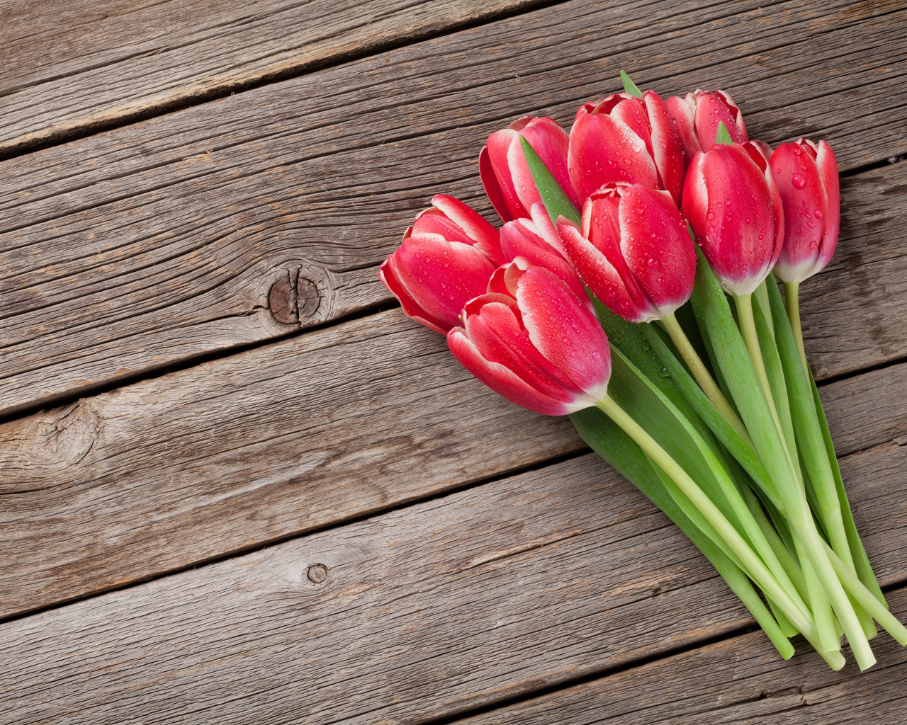 Букет мокрых красных тюльпанов на деревянном столе