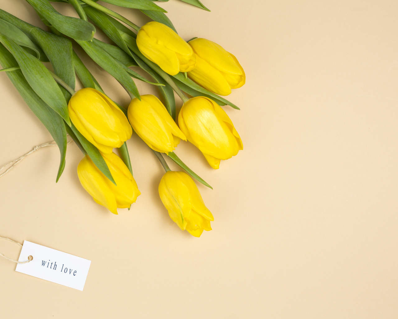 Букет желтых тюльпанов на бежевом фоне, шаблон 