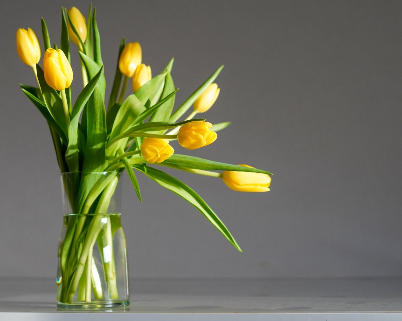 Букет желтых тюпанов с стеклянной вазе на сером фоне