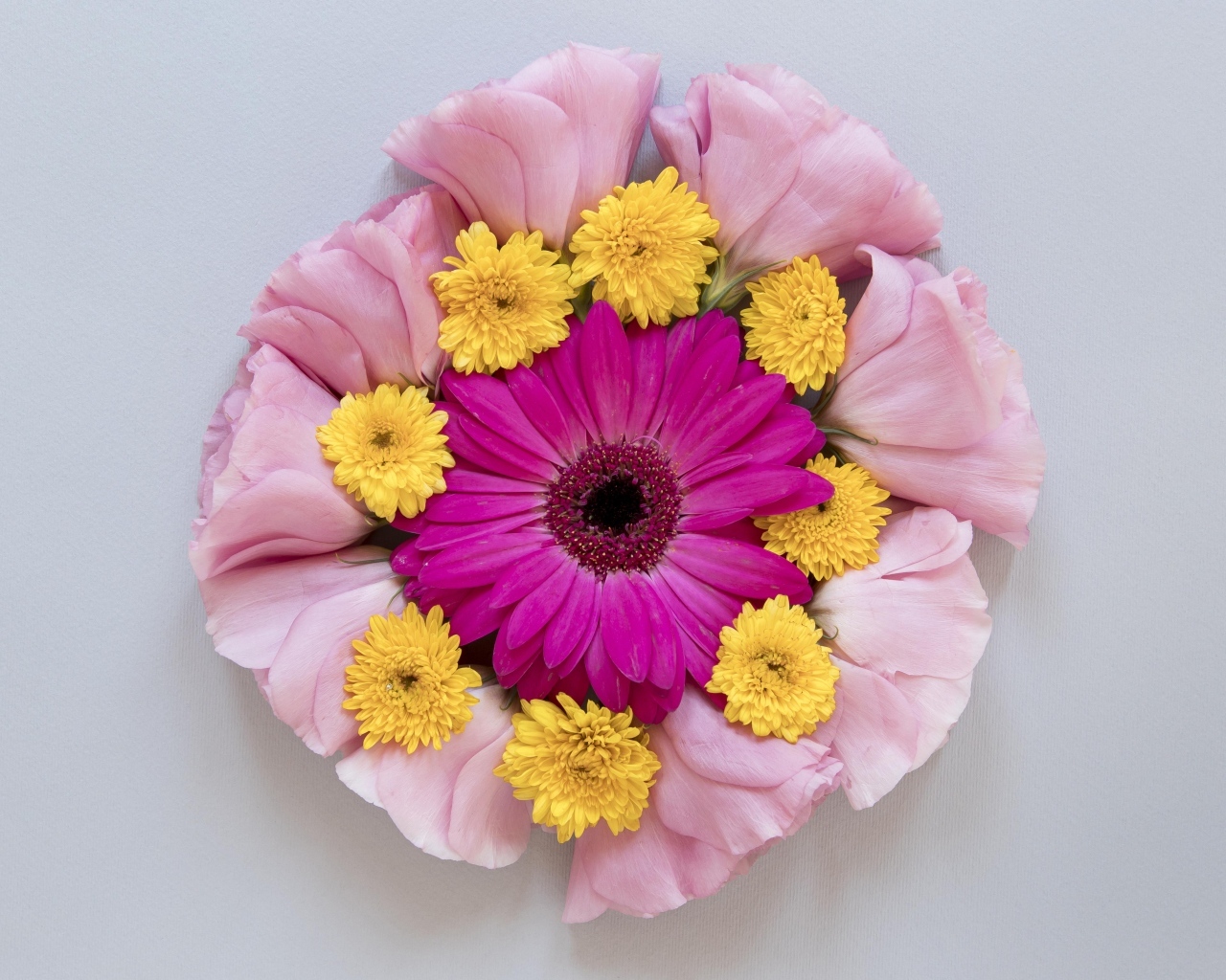 Круг из нежных цветов на сером фоне