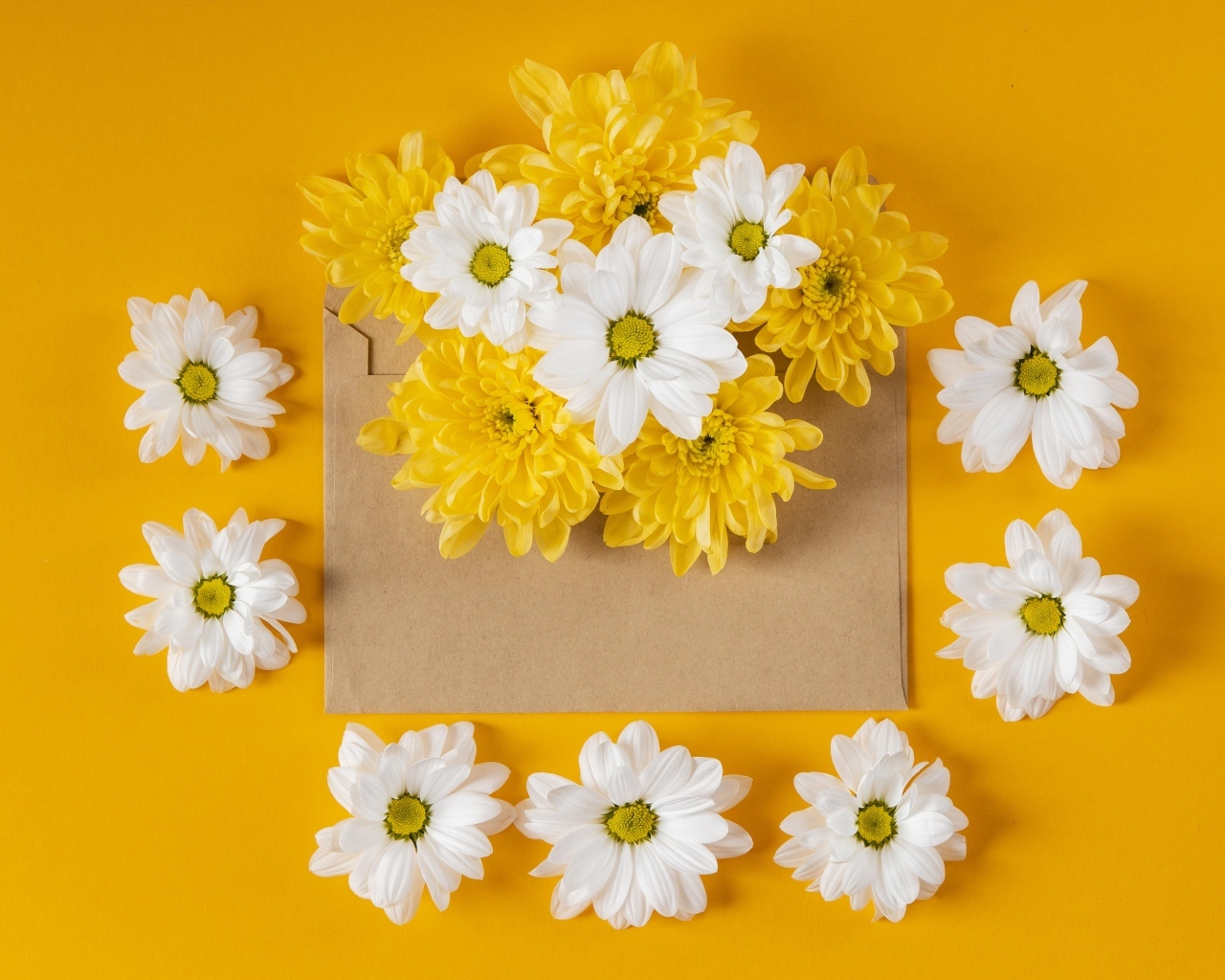 Конверт с желтыми и белыми хризантемами на желтом фоне