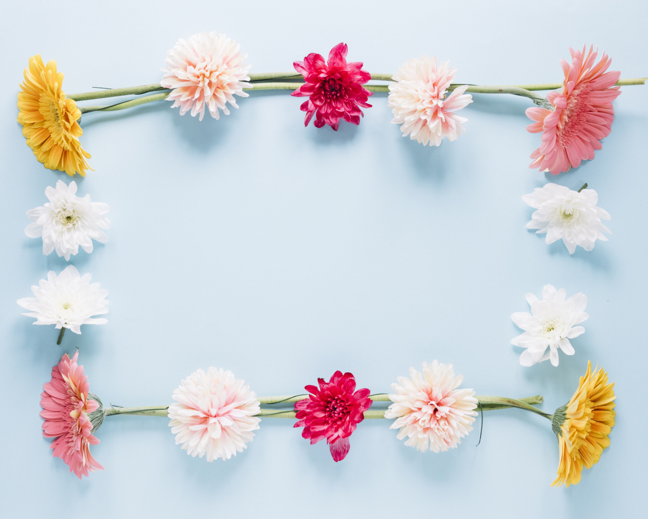 Рамка из разноцветных цветов на голубом фоне