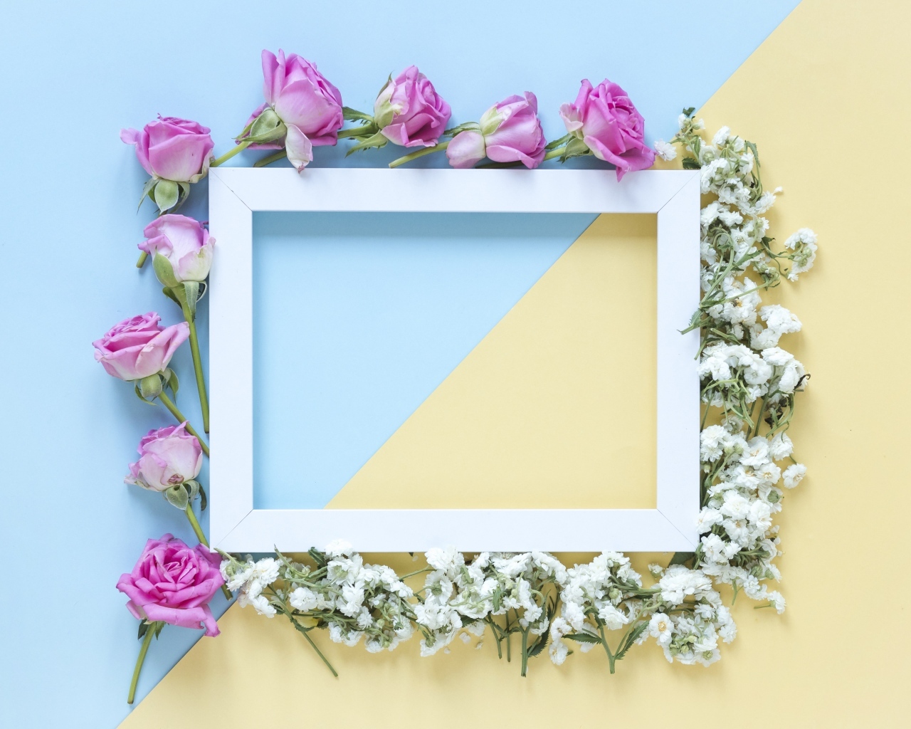 Рамка с цветами розы и гипсофилы 