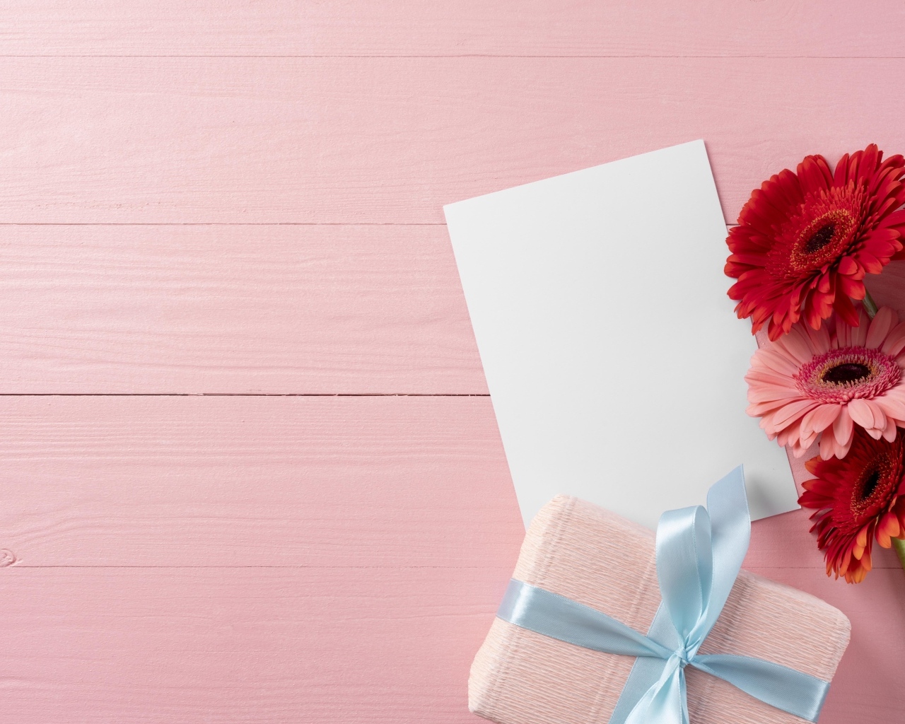 Герберы с листом бумаги и подарком на розовом фоне, шаблон поздравительной открытки 