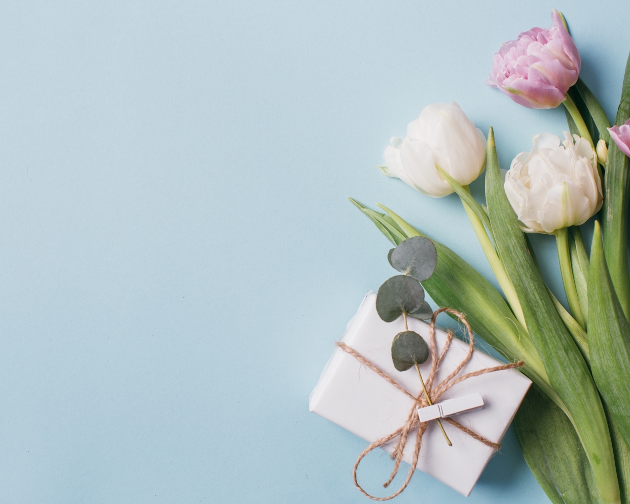 Подарок с тюльпанами на голубом фоне