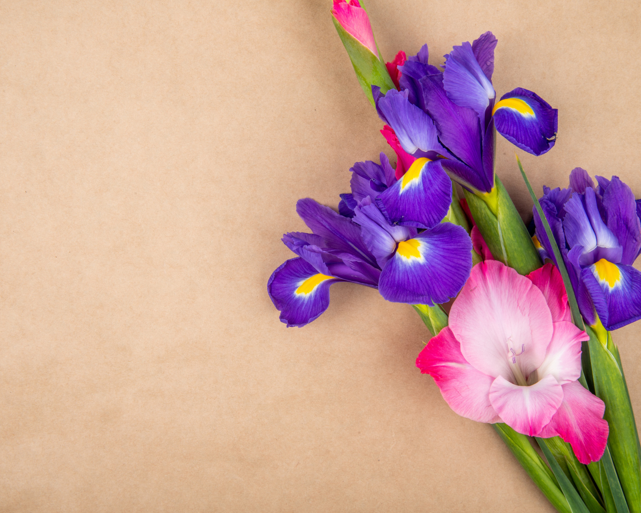 Сиреневые ирисы и гладиолусы на коричневом фоне