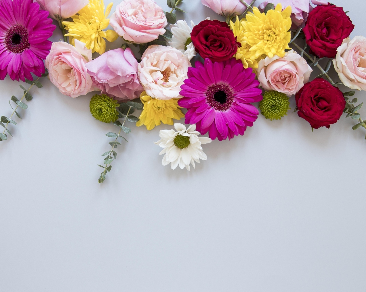 Разноцветные цветы на сером фоне