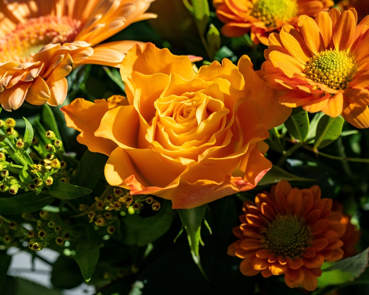 Оранжевые розы и хризантемы крупным планом