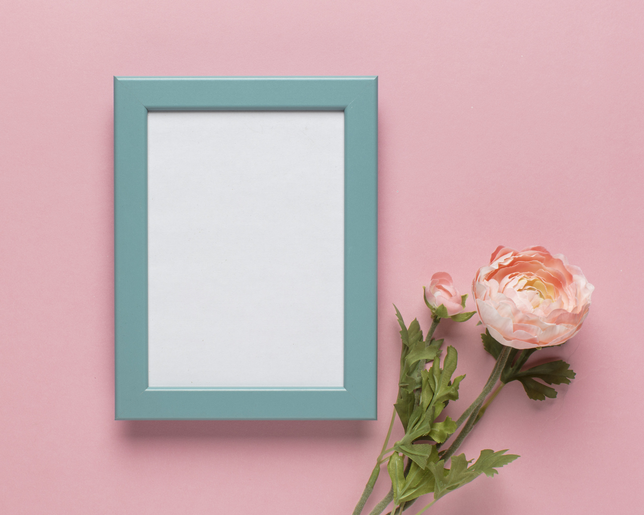 Рамка для фото с цветком лютика на розовом фоне, шаблон