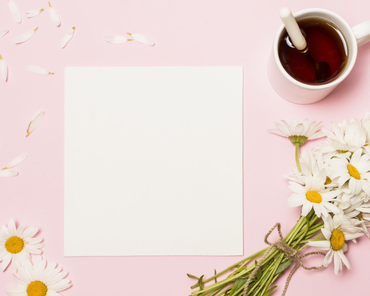 Розовый фон с ромашками, чашкой чая и белым листом бумаги, шаблон