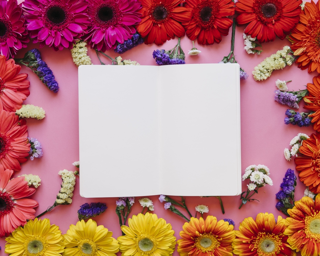 Розовый фон с герберами и белым листом для открытки
