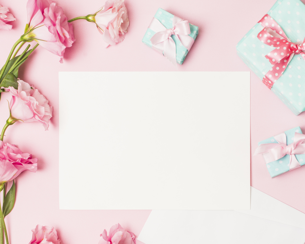 Розовые цветы эустомы с подарками и листом на розовом фоне