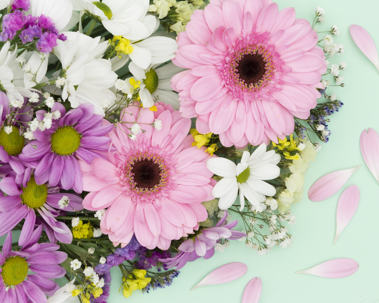 Розовые герберы и цветы хризантемы на голубом фоне