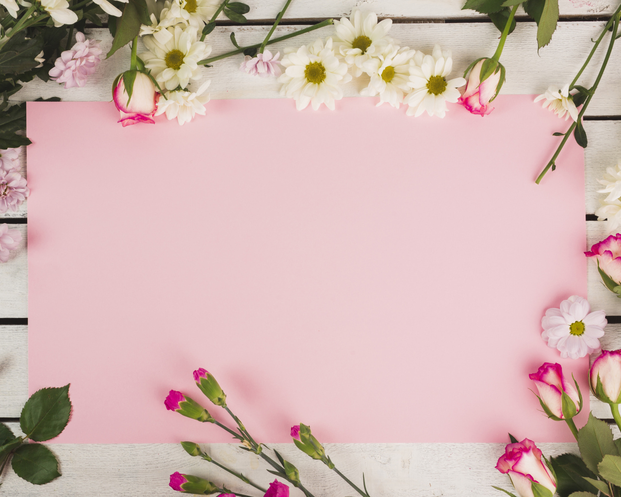 Розовый лист бумаги для открытки с цветами хризантемы