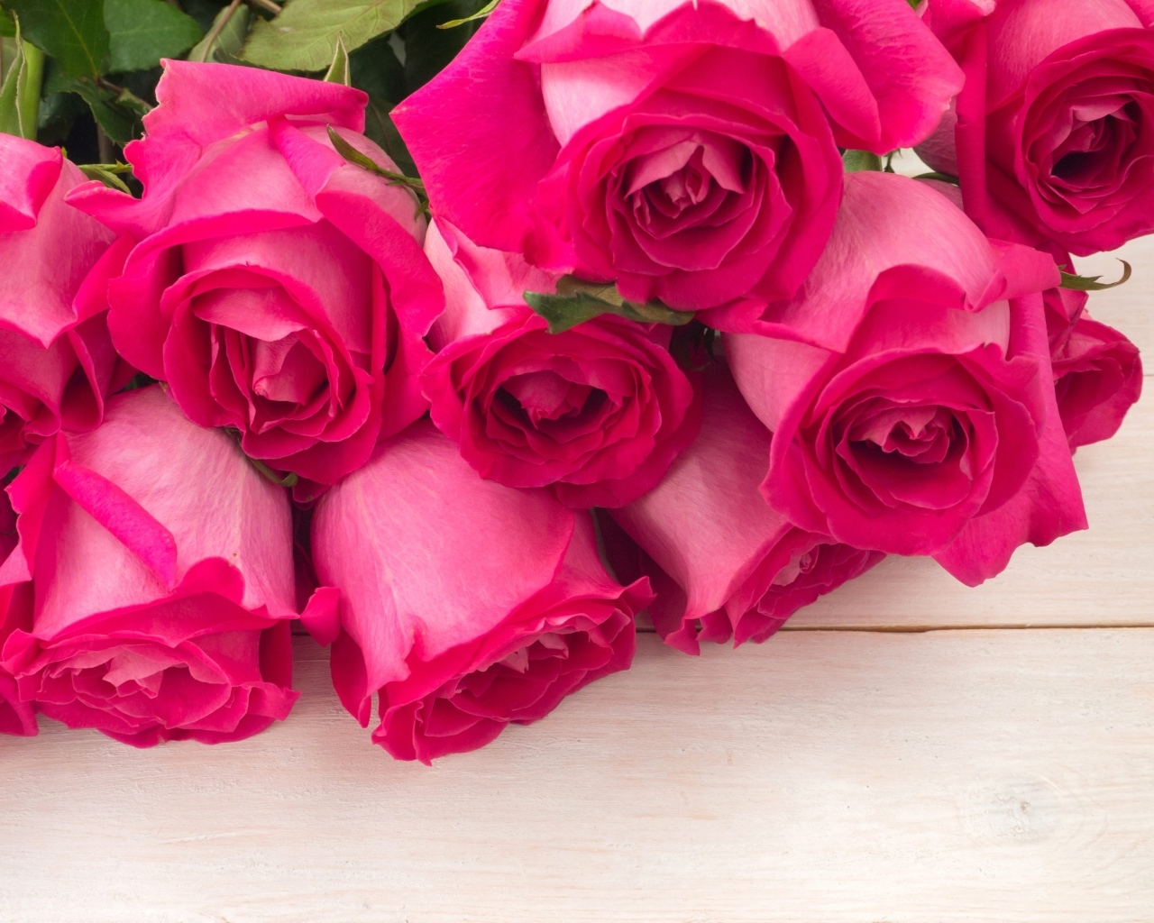 Бутоны розовых роз крупным планом