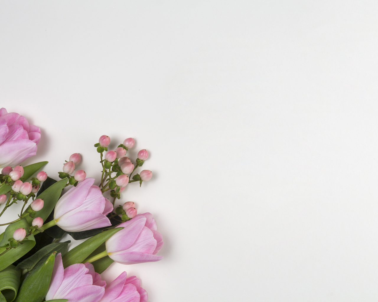 Розовые тюльпаны на сером фоне, шаблон для открытки