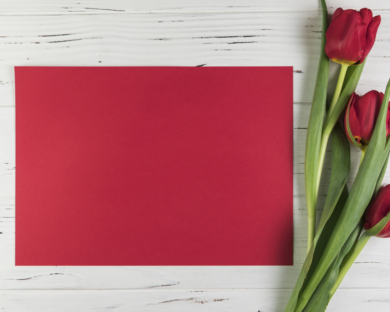 Красный лист бумаги с тюльпанами для шаблона поздравительной открытки