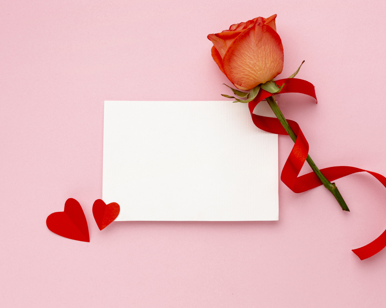 Роза с лентой и листом бумаги на розовом фоне, шаблон открытки