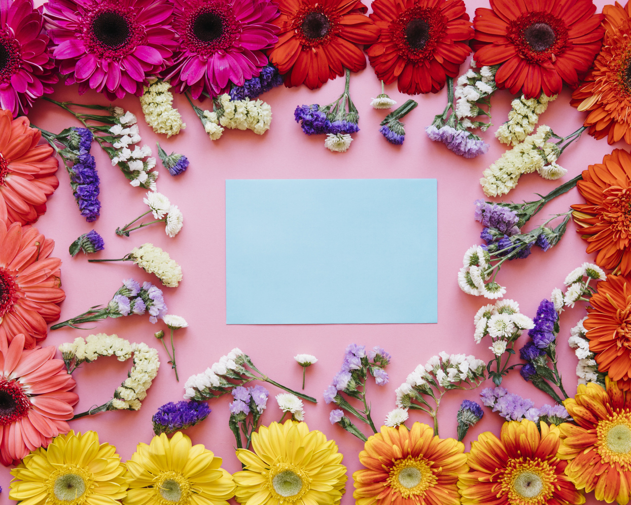 Лист бумаги и герберы на розовом фоне, шаблон