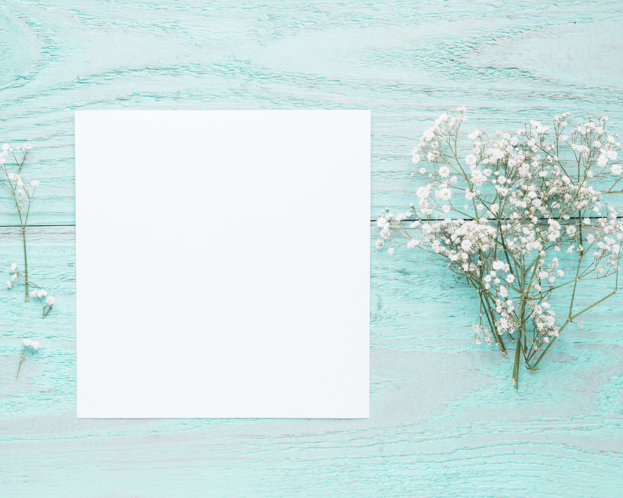 Лист бумаги с белыми цветами гипсофилы на голубом столе