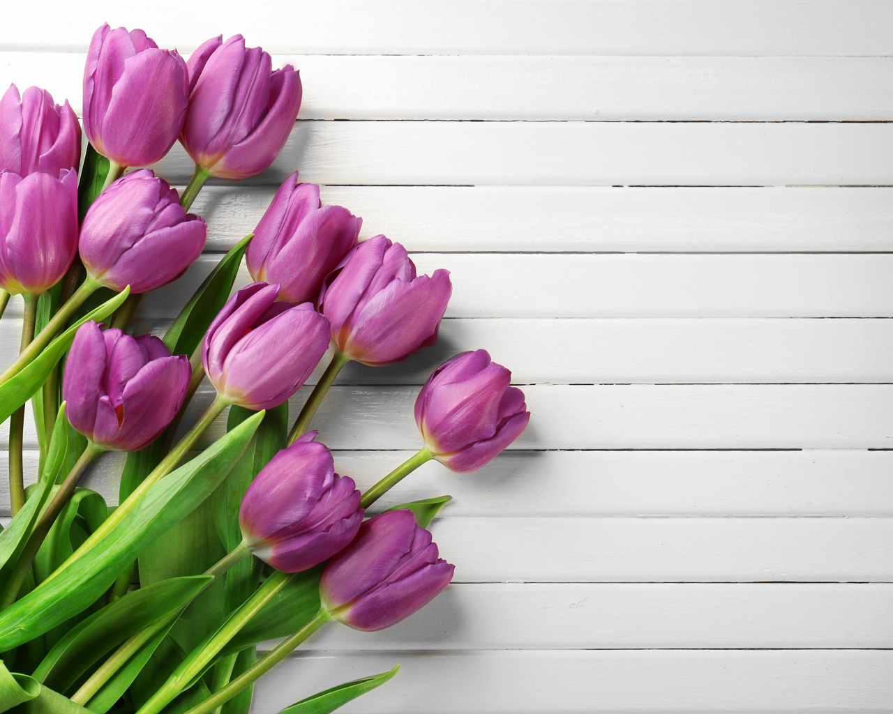 Тюльпаны на белом деревянном фоне