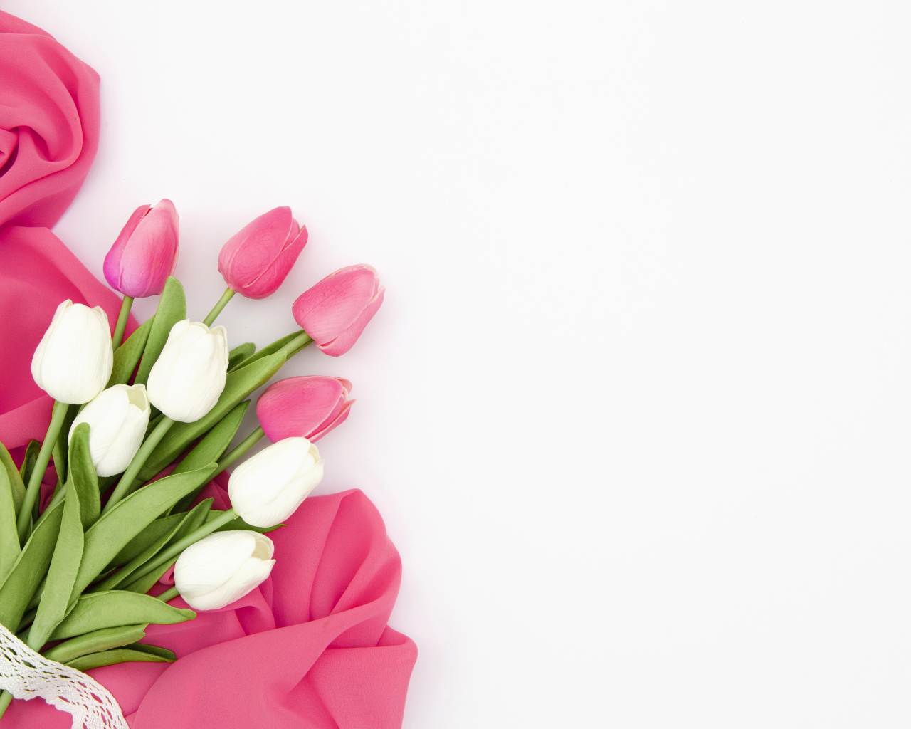 Белые и розовые тюльпаны с тканью на белом фоне, шаблон 