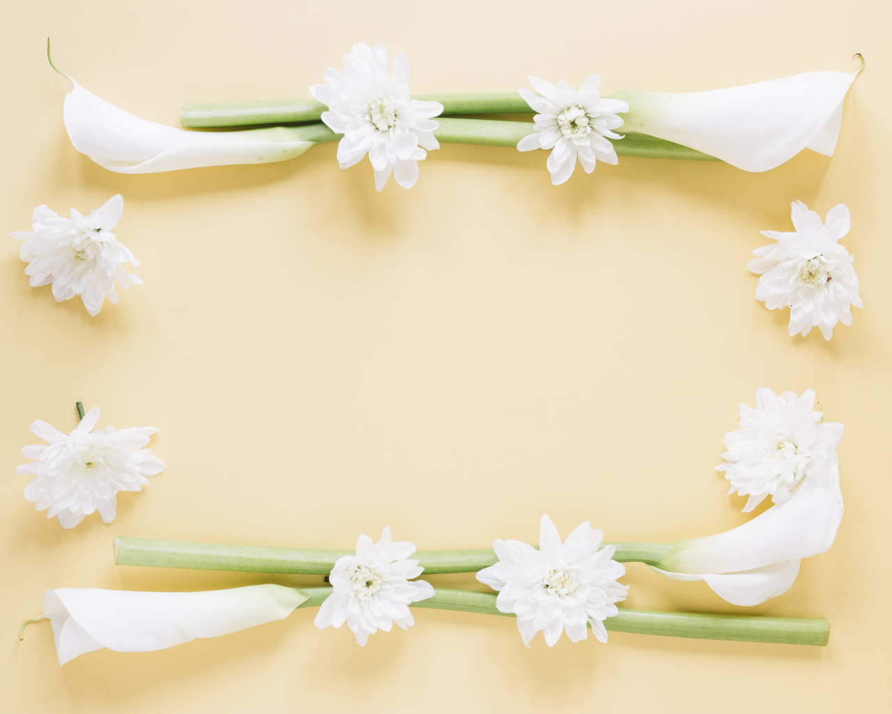 Белые каллы с хризантемами на желтом фоне