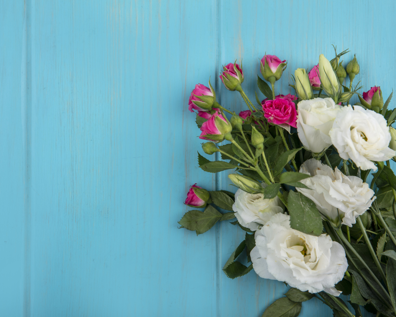 Белые цветы эустомы с розовыми розами на голубом фоне