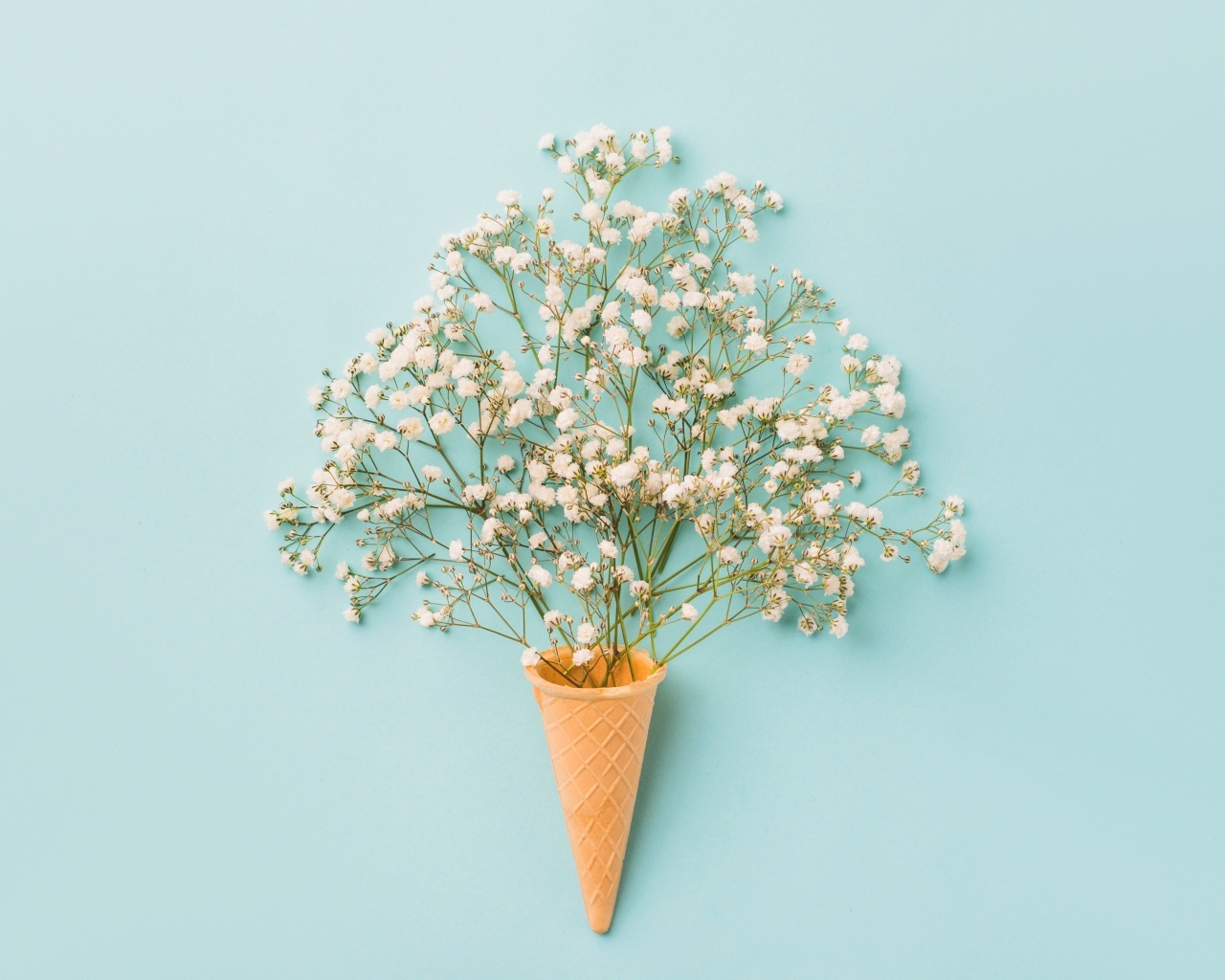 Белые цветы с вафельным рожком на голубом фоне