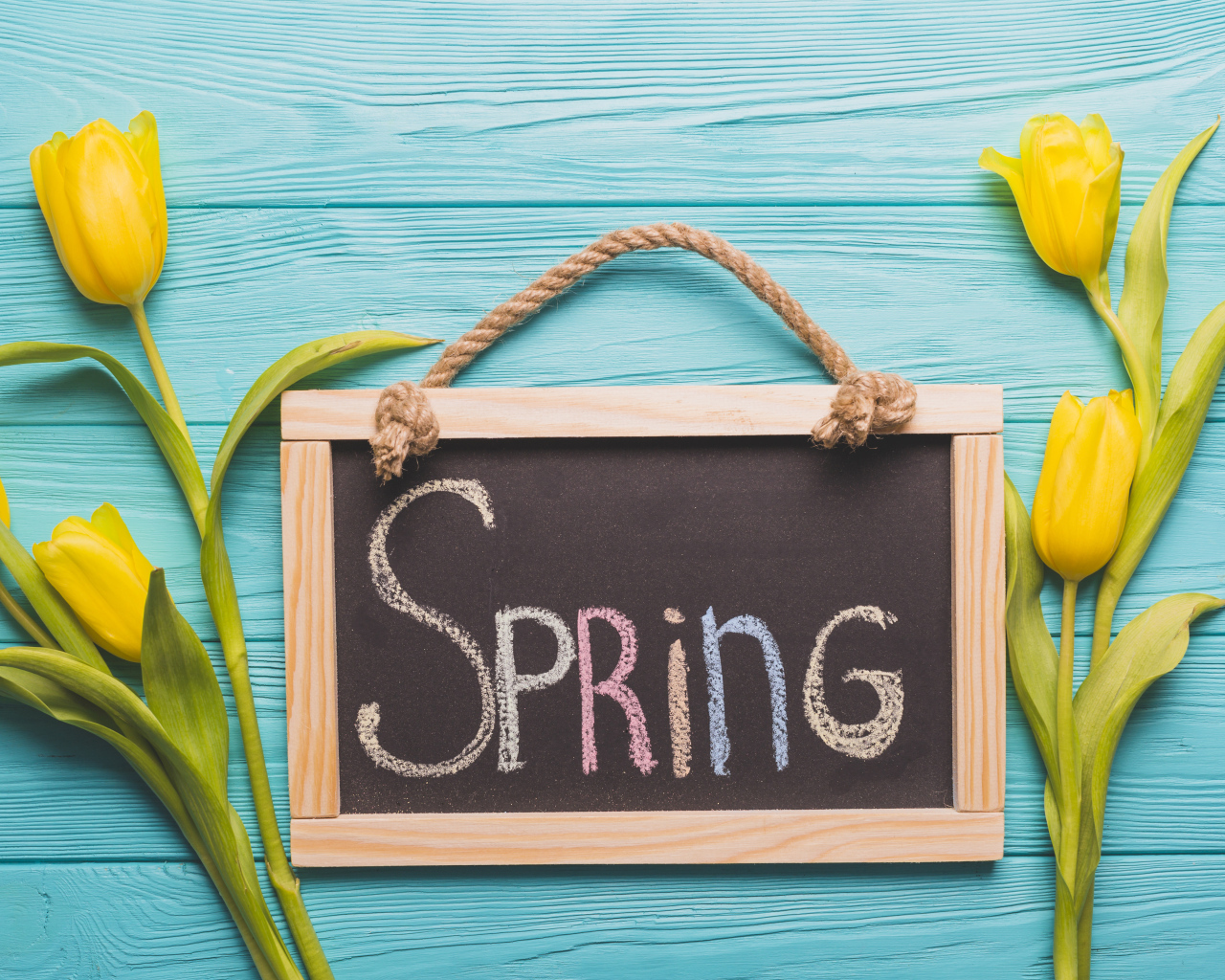 Желтых тюльпаны на голубом фоне с рамкой с надписью весна